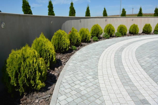 Professional Driveway Pavers in Berino, NM